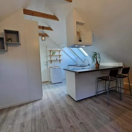 Apartment On The Footstep Of Mount Ulriken Bergen